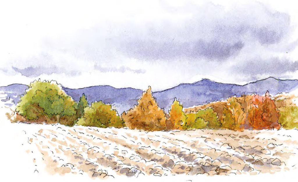 paysage