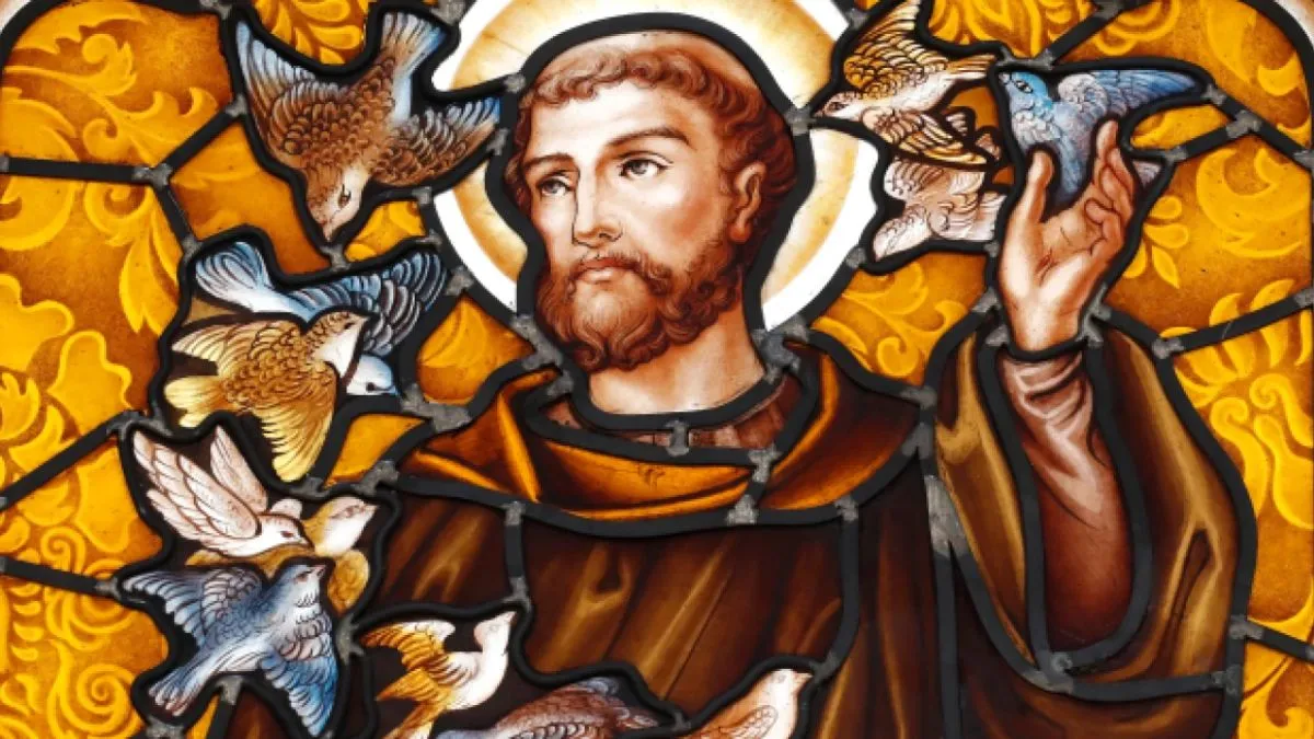 saint-francois-dassise